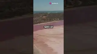 Discover the Bubblegum Pink Lake in Australia! #earthfacts #facts #earthcuriosities #science