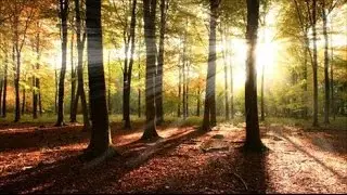 making rays of light