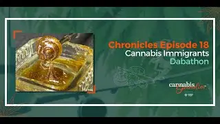 Cannabis Immigrants Dabathon | CHRONICLES Ep 18