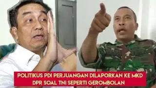 Sebut TNI Gerombolan, Effendi Simbolon Dilaporkan ke MKD DPR