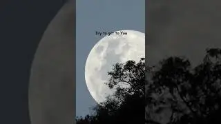 #Shorts MOON | DUDUK MANIS