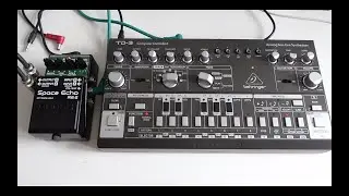 Behringer TD3 & Boss RE2 Space Echo