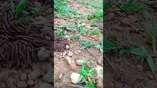 New#short  video 1 August 2022 https://youtube.com/channel/UCF83amv1JcF-1wn4mPO803Q