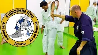 Fudoshinryu Training - Amsterdam Dojo - Aiki Jujutsu Selfdefense (updated)