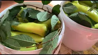НеКтаРины в сиропе💥 вОт уж действительно пожалела что мало приготовила | 🌶 ЦИЦАК 🌶 и не только 🤩