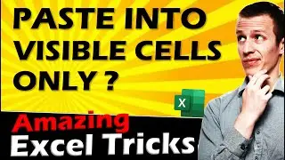 UNIQUE Excel Tip - Paste into Visible Cells Only | How to Copy and Paste Visible Cells in Excel