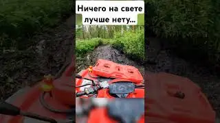 Нам любые дороги дороги... #квадропокатушки #trending #offroad