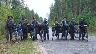 Куролесье