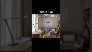 Видео: РОФЛ!!! #shorts #short #memes #meme #cat #кот #коты #мем #мемы