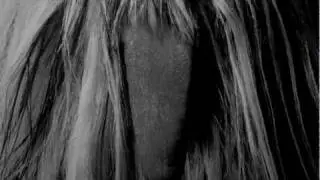 A Short Film