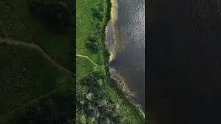 DJI mini 4 Pro is clutch. #dji #mini #pro