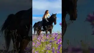 Теперь снимаемся в фиолетовых полях💜 #конныйблог #horse #конныйтуризм #лошади #конныепрогулки