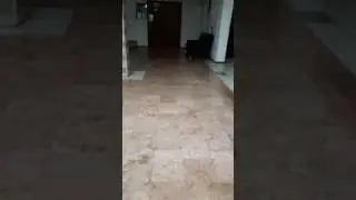 Вечеринка неадыкватов . Продолжение