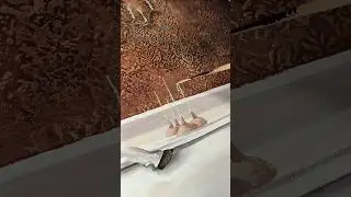 Как нарисовать корову