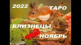 БЛИЗНЕЦЫ НОЯБРЬ ТАРО 2022