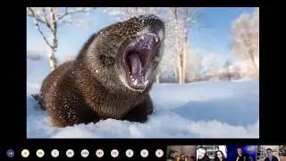 Diretta con Alberto Ghizzi Panizza