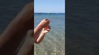 erikli balik avı