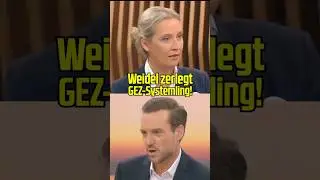 GEZ Systemling staunt Bauklötze! #aliceweidel
