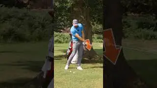 Recover like a Pro!