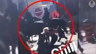 The girl slapped a police horse to become popular, but she certainly did not expect such a reaction