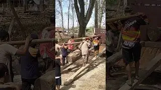 Load teak wood into medium truck 3 #woodworking #russia #america #korea #india #thailand