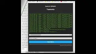 How to set up #static #IPAddress on #TASMOTA devices