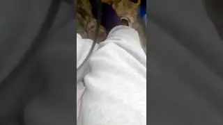 Храмаю