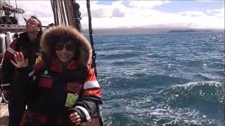 Puffin Island sailing