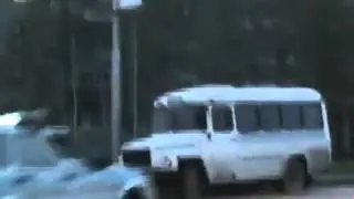 Мишку выгоняют из Нижневартовска