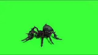 Spider #1  green screen video free download like share and subscribe