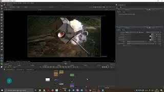 Топ 10 фишек по Foundry Nuke для царского композа