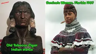 A Considerable Proportion Of The Blood Of The Southern Negroes Is Unquestionably Indian / Genealogy