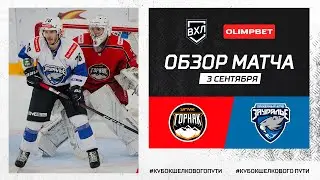 Две шайбы в начале третьего периода принесли «Зауралью» волевую победу в Верхней Пышме