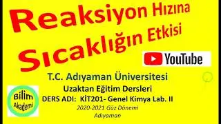 (SESSİZ) Sıcaklığın Reaksiyon Hızına Etkisi Deneyi, Reaksiyon Hızına Etki Eden Faktörler