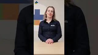 Veilig onderweg met de hond! - Medpets geeft tips
