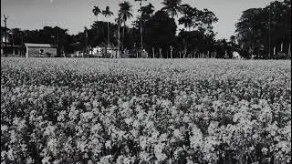 My village cinematic shots short 😍 part 2