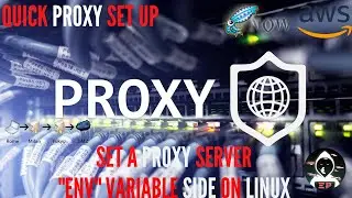Squid/AWS-Quick Proxy Set Up - EP4 - Set A Proxy Server ENV (environment) Variable Side On Linux