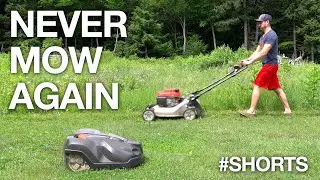 Automatic Lawnmowers Are Awesome