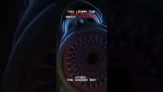 Terrifying Pinocchio Story