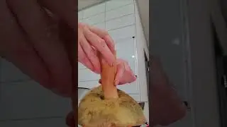 Самый большой гриб