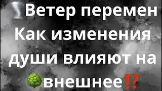 КАК ТРАНСФОРМАЦИЯ ДУШИ МЕНЯЕТ ВАШЕ ПРОСТРАНСТВО ИЗ-ВНЕ⁉️🌪️🌳