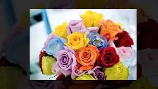 Golden Colorado Wedding