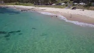 Near Miss Shark Attack. Kayaker narrowly escapes :)