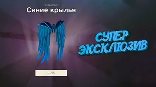 БАГ НА АКСЕСУАРЫ И СЕКРЕТ КРЫЛЬЕВ РАДМИР РП ХАСЛ ОНЛАЙН