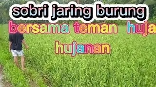 jaring burung ad petir auto kabur