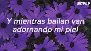 Y BAILA LENTO FLOR MORADA QUE ME RECUERDAS A MI AMADA     bugambilia-nasa histoires
