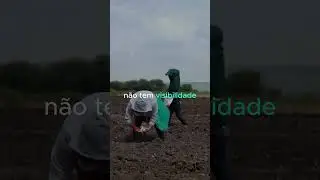 NÃO DESPREZE OS PEQUENOS COMEÇOS.