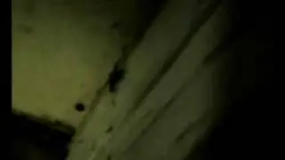 Video from My Phone