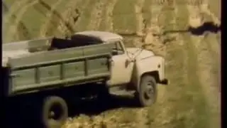 Уборка урожая в Воронежской области.  1988г