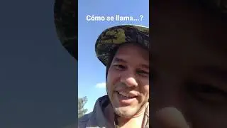 Cómo se llama: 🇦🇷 Laburo 🇻🇪 Trabajo. #RetoShorts30.